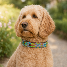 Afbeelding in Gallery-weergave laden, Labradoodle met kleurrijke handgeweven hondenhalsband M118 in maat M, vooraanzicht
