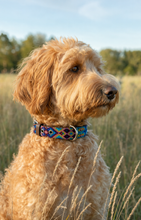 Afbeelding in Gallery-weergave laden, Labradoodle met kleurrijke Bohemi Solana hondenhalsband in maat M
