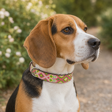 Afbeelding in Gallery-weergave laden, Beagle draagt een kleurrijke handgeweven Bohemi Dogs hondenhalsband in maat M
