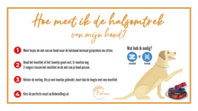 Afbeelding in Gallery-weergave laden, Visuele instructie voor het meten van de halsomtrek van je hond – juiste maat bepalen voor halsband
