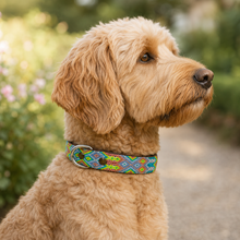 Afbeelding in Gallery-weergave laden, Labradoodle met handgeweven Bohemi hondenhalsband M118 in maat M, zijaanzicht
