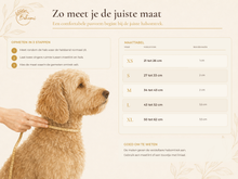 Afbeelding in Gallery-weergave laden, Meetinstructie voor het bepalen van de juiste maat Bohemi Dogs hondenhalsband in maat M, geschikt voor een nekomtrek van 34 tot 43 cm.
